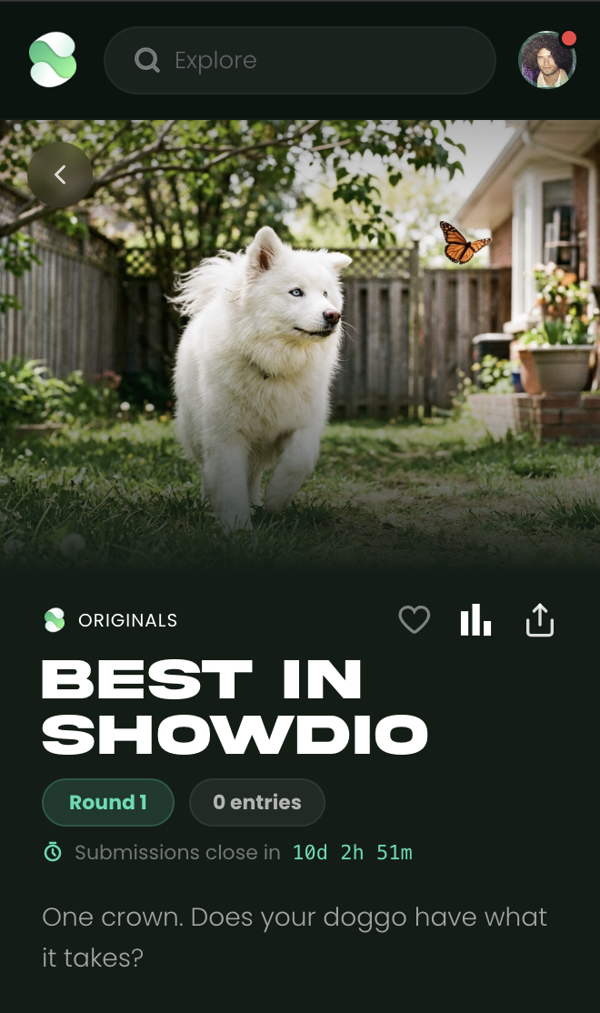 Best in Showdio showdio profile